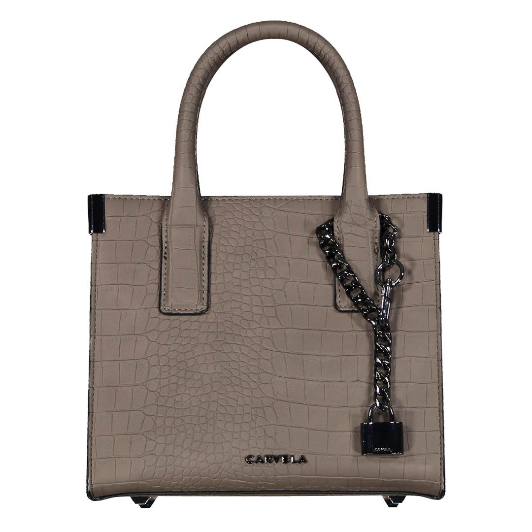 Carvela bag