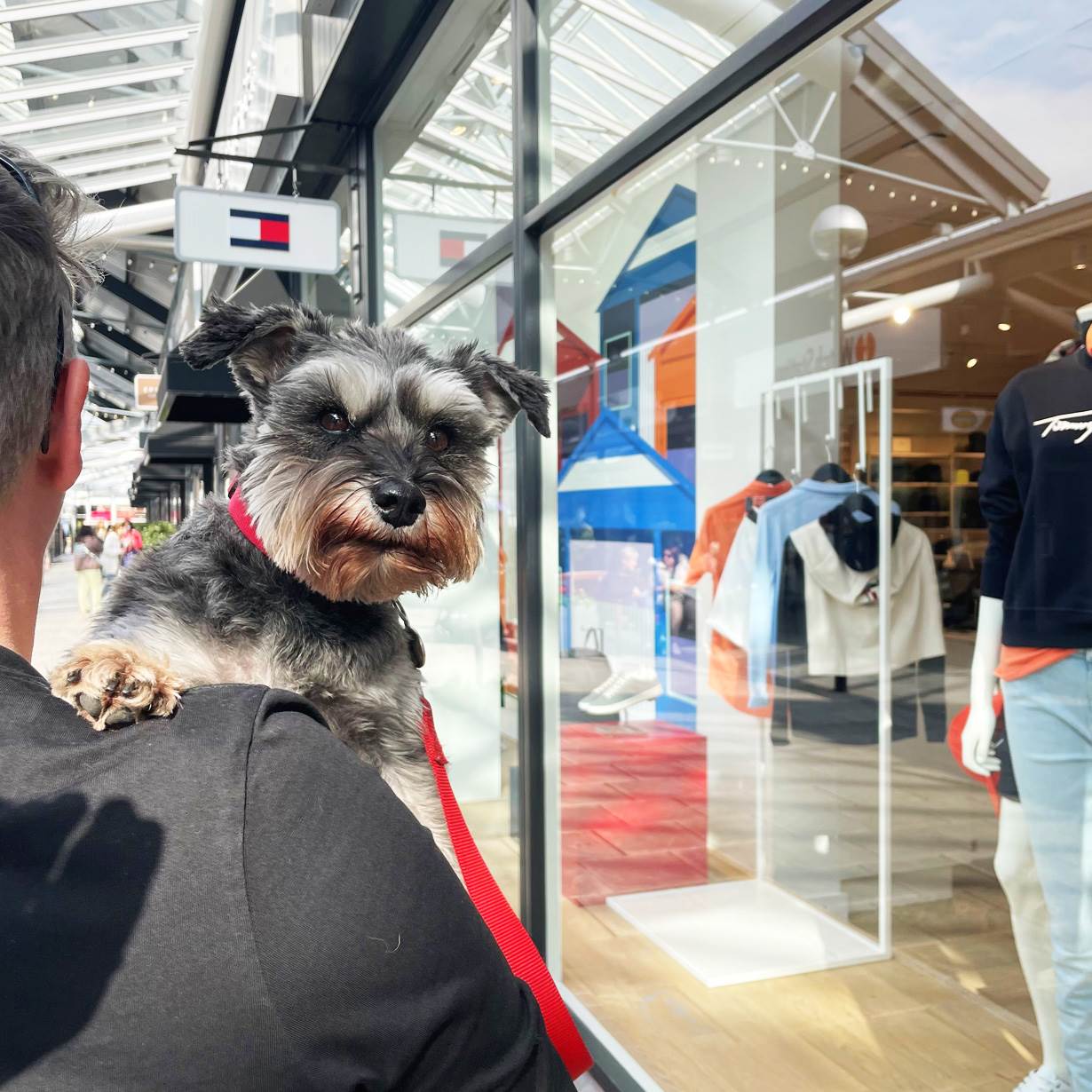 Dog friendly stores at McArthurGlen Designer Outlet Bridgend