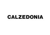 Brand logo for Calzedonia